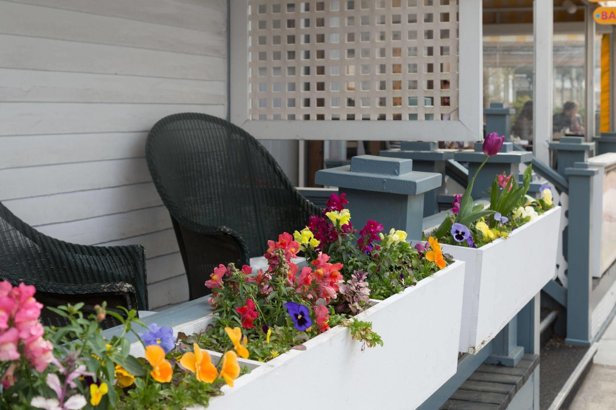 The Carroll Villa Hotel Cape May Εξωτερικό φωτογραφία